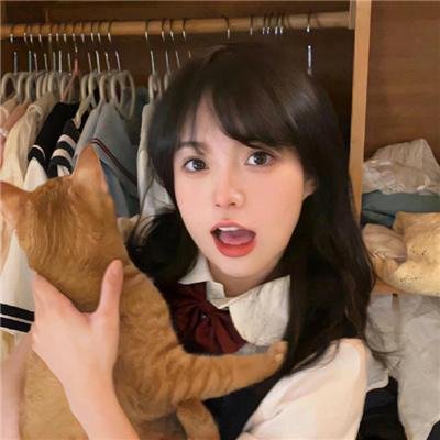 入侵者